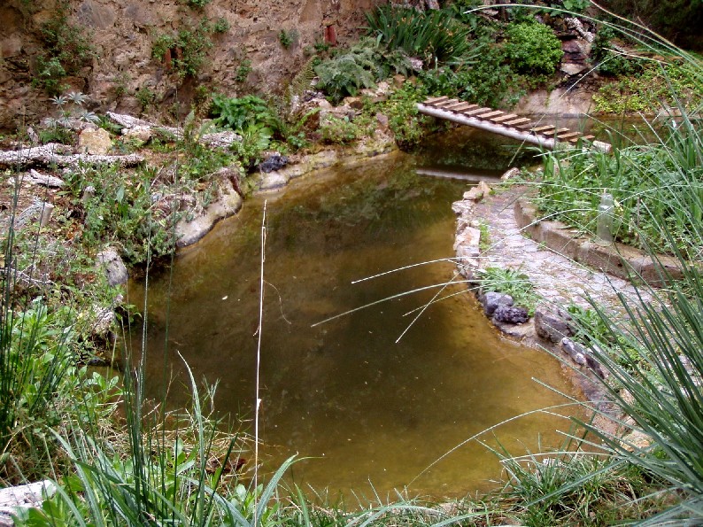 Il Laghetto del Centro di Entomologia - Piombino (LI)